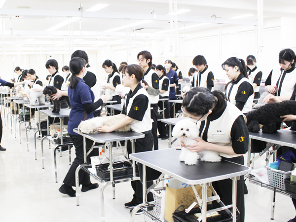 トリミング実習は準備が大切！